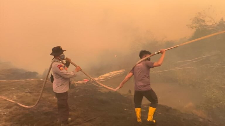 15 Wilayah Sumsel Masuk Zona Merah Karhutla di Tengah Puncak Kemarau