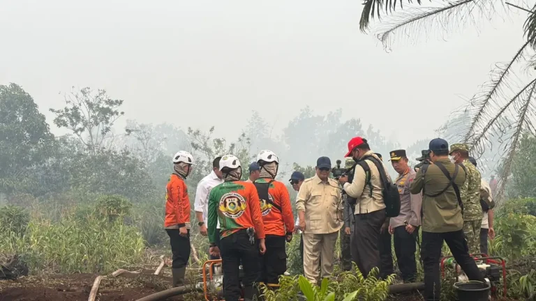Prabowo Dorong Pelaku Karhutla Dihukum Berat, Wacanakan Istilah Terorisme Ekologi