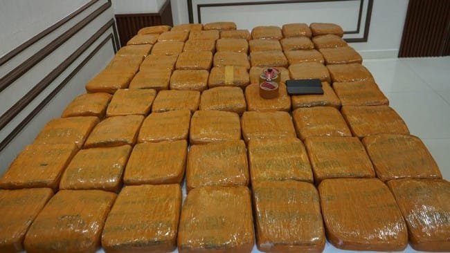 Polda Metro Gagalkan Peredaran 62,5 Kg Ganja di Petamburan, Dua Pelaku Ditangkap
