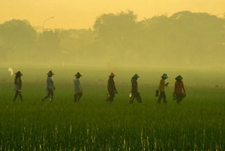 Selangkah Lagi Disahkan, RUU Reforma Agraria Jadi Kado Hari Tani Nasional