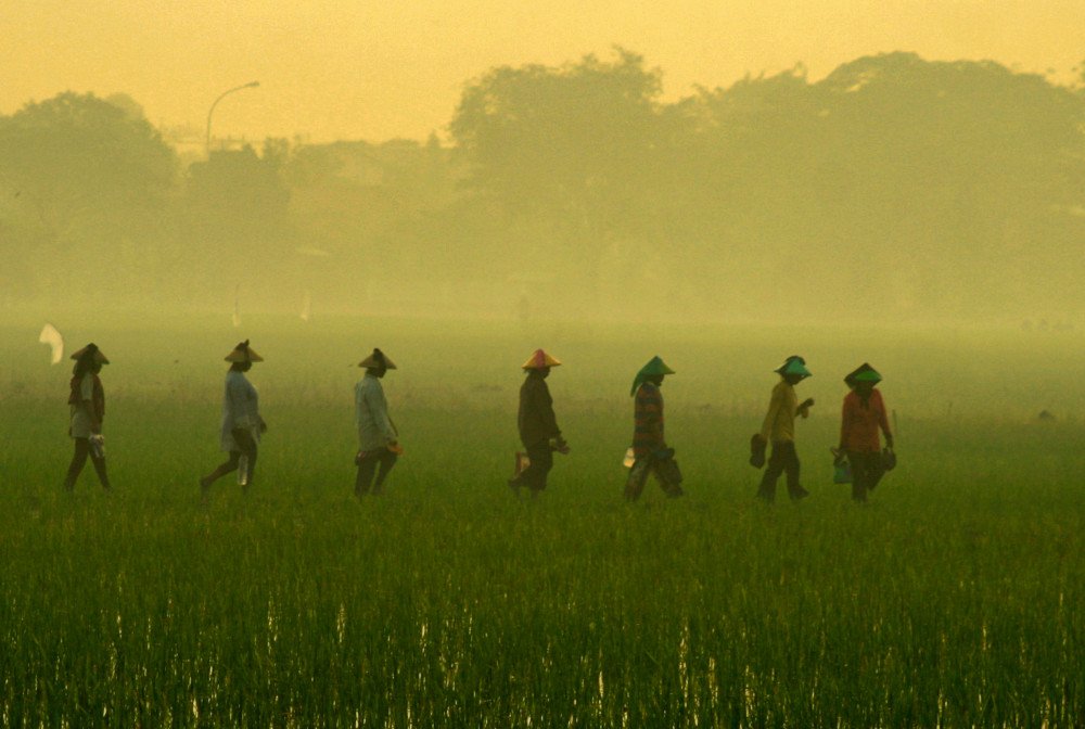 Selangkah Lagi Disahkan, RUU Reforma Agraria Jadi Kado Hari Tani Nasional